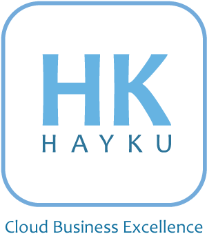 ERP HAYKU 31.1